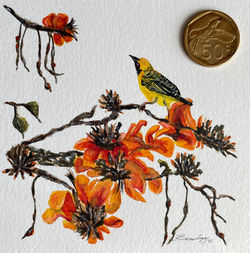 Gazing Upwards 2025