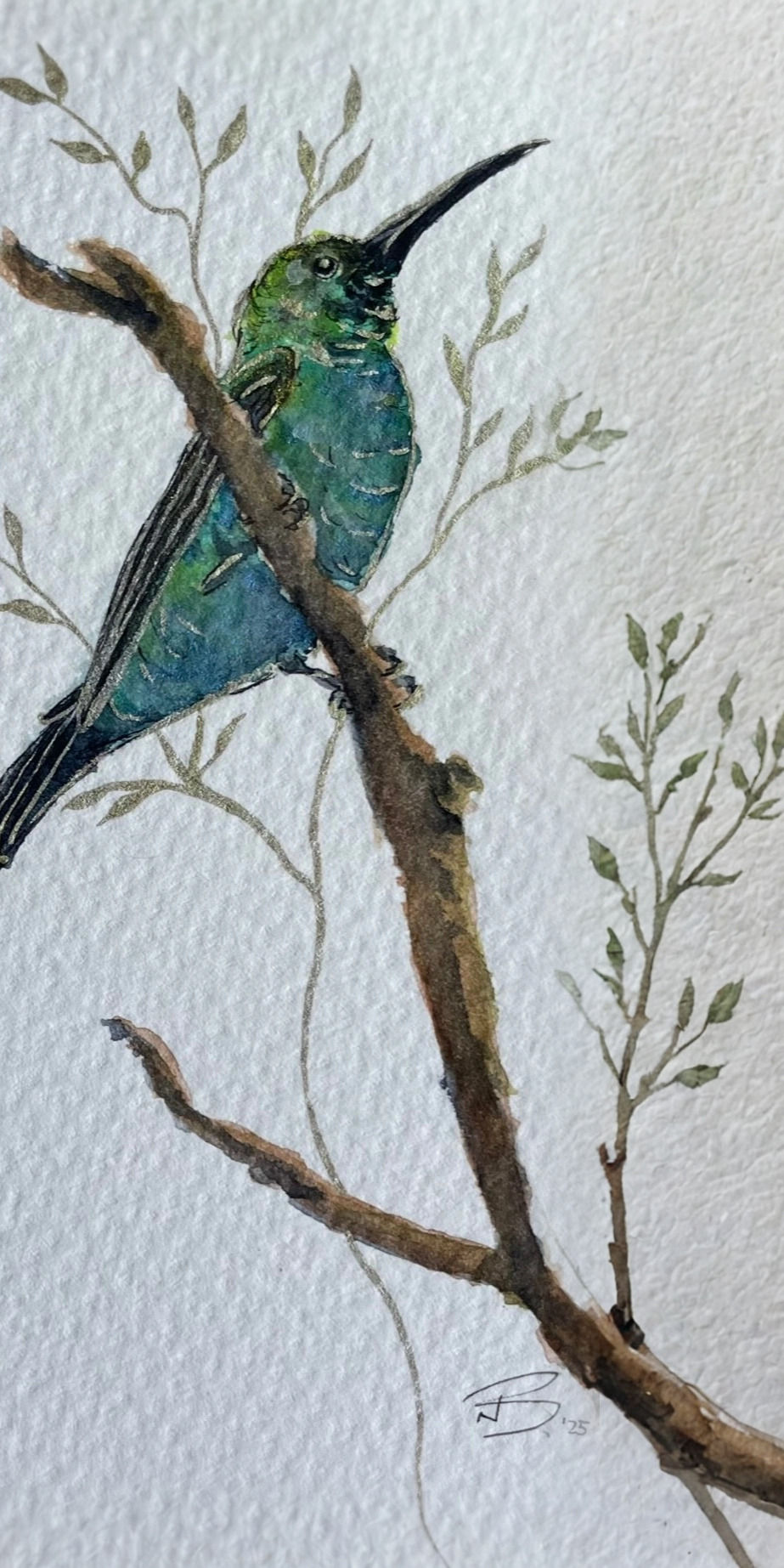 The Sunbird_edited