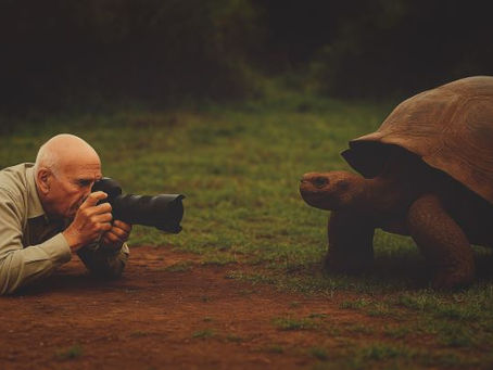 uma homem semalhante ao sebastião salgado estpa fotografando uma tartaruga gigante
