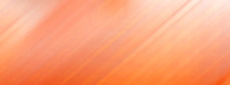 fundo-2_851x315px.jpg