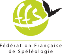 Logo FFS
