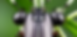 00008-1119103.png