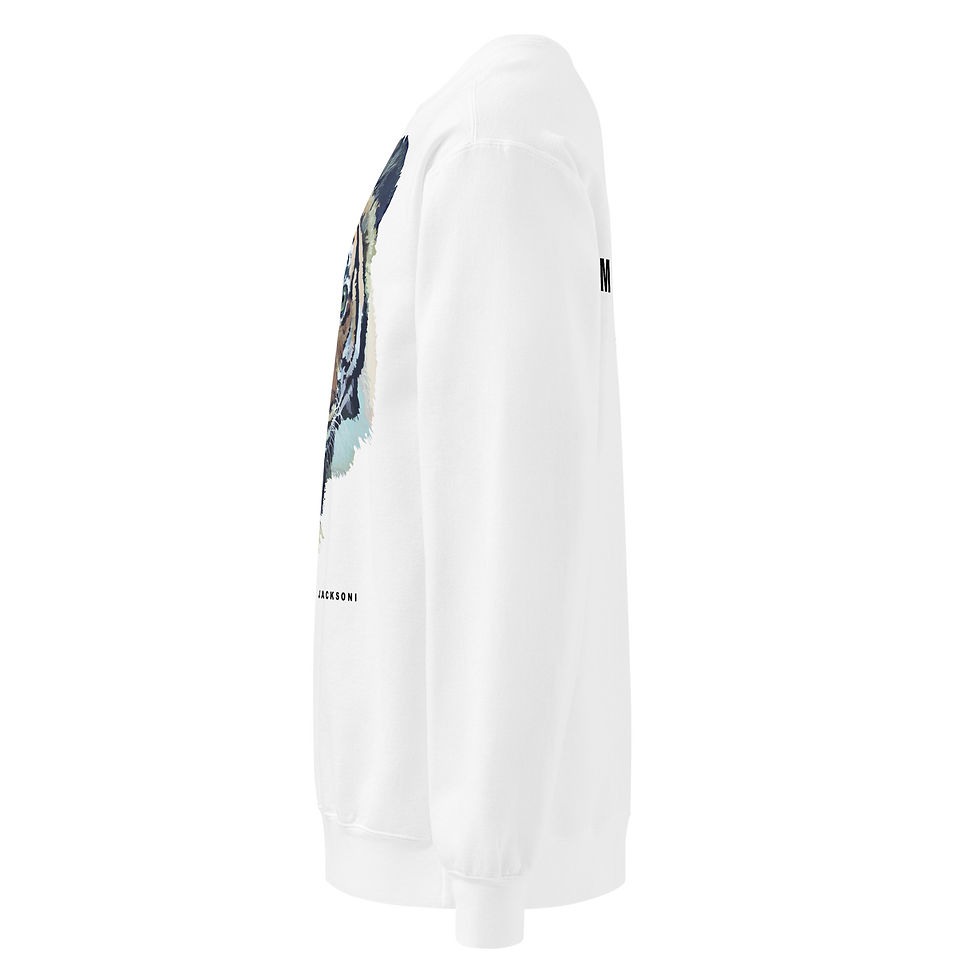 Thumbnail: Olan Adult Unisex Sweatshirt