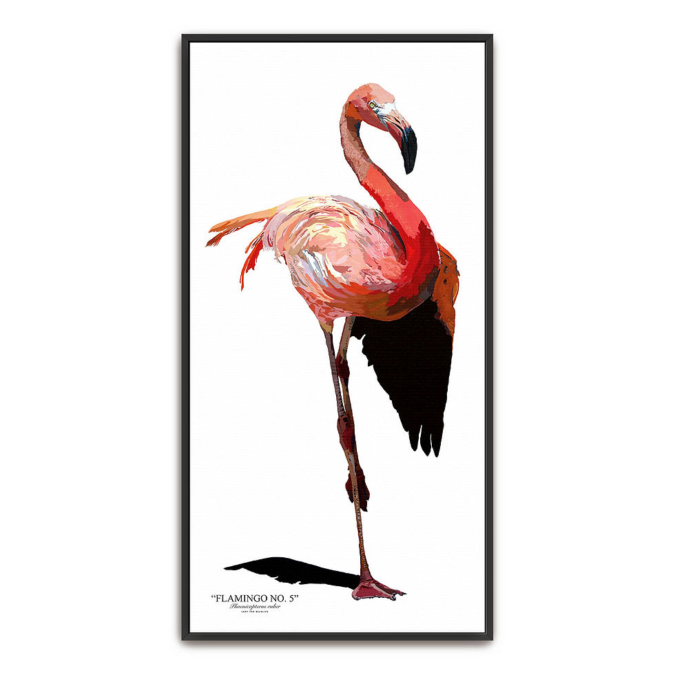 Thumbnail: Flamingo No. 5 Canvas - Framed