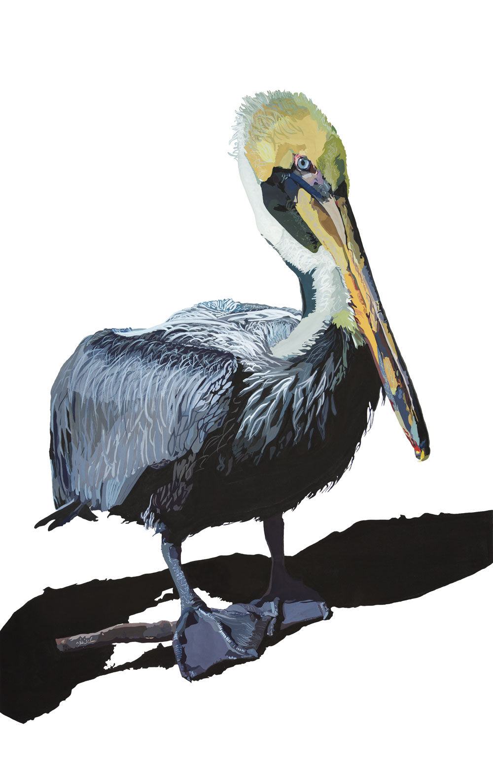PELICAN NO. 10