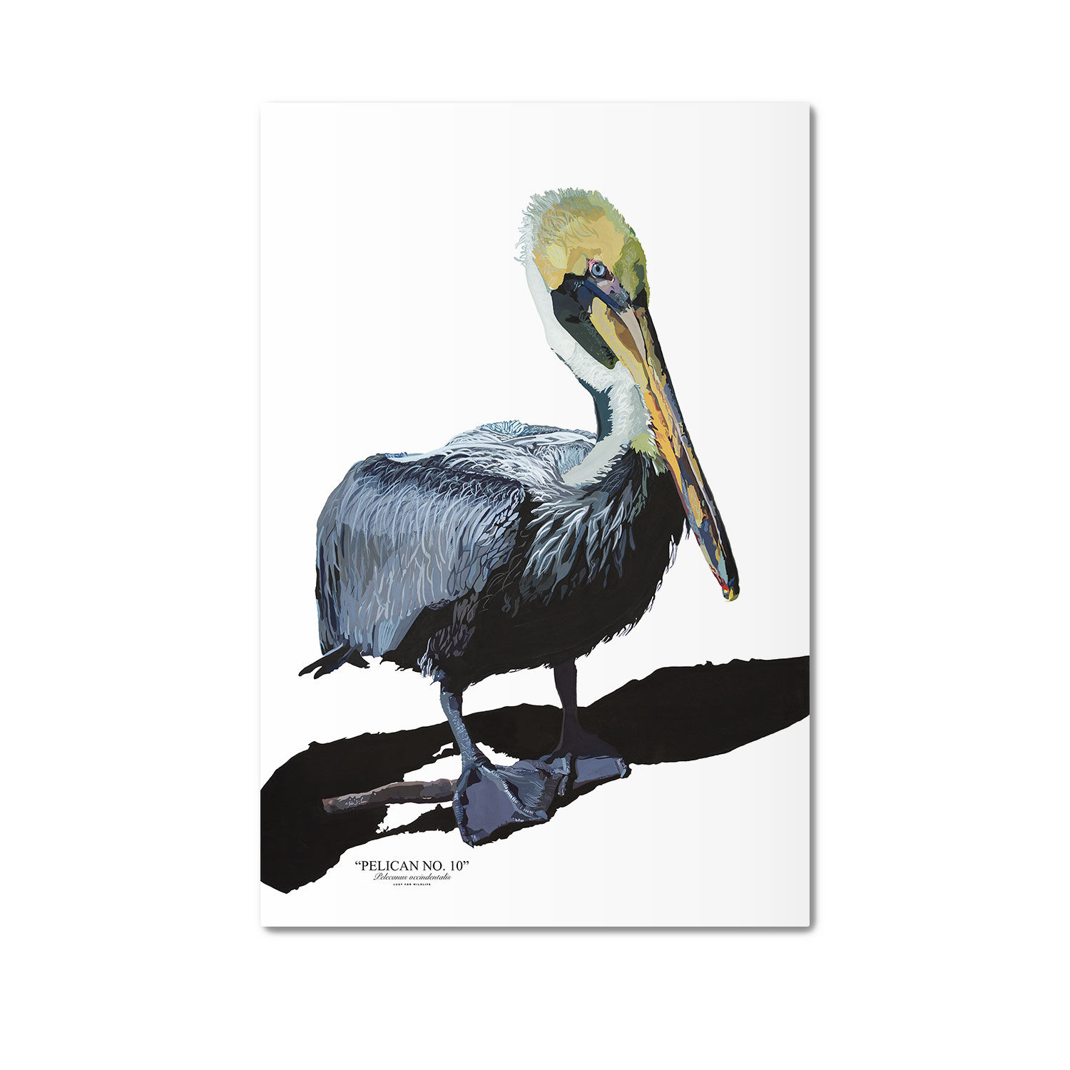 Pelican No. 10 - Metal