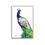 Thumbnail: Peacock Canvas - Framed