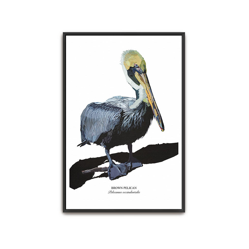 Thumbnail: Pelican No. 10 Canvas - Framed