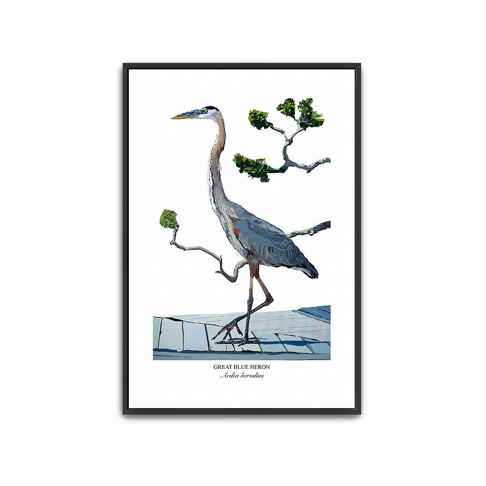 Thumbnail: Heron No. 12 Canvas - Framed