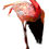 Thumbnail: FLAMINGO NO. 5