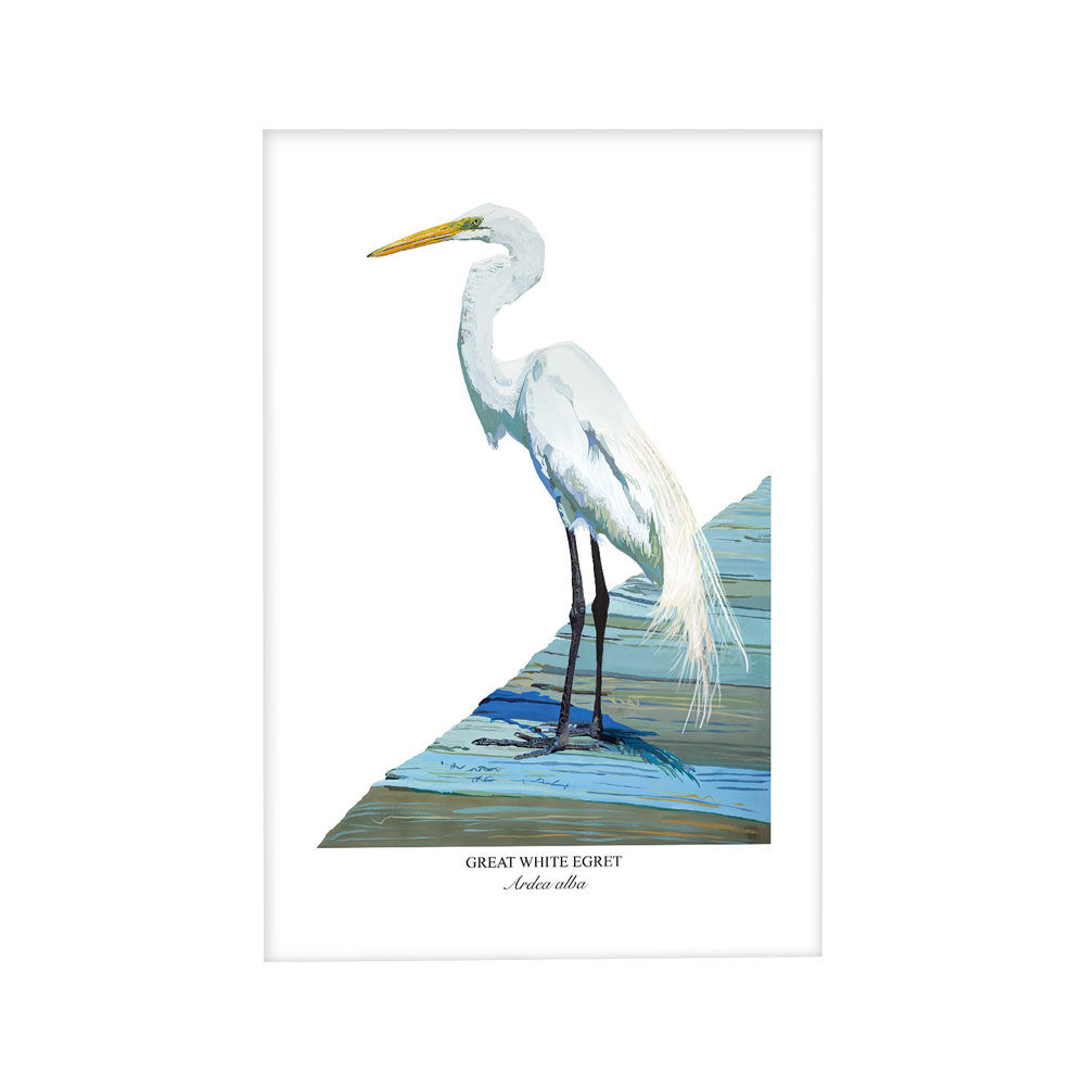 Egret No. 8 Paper - Unframed