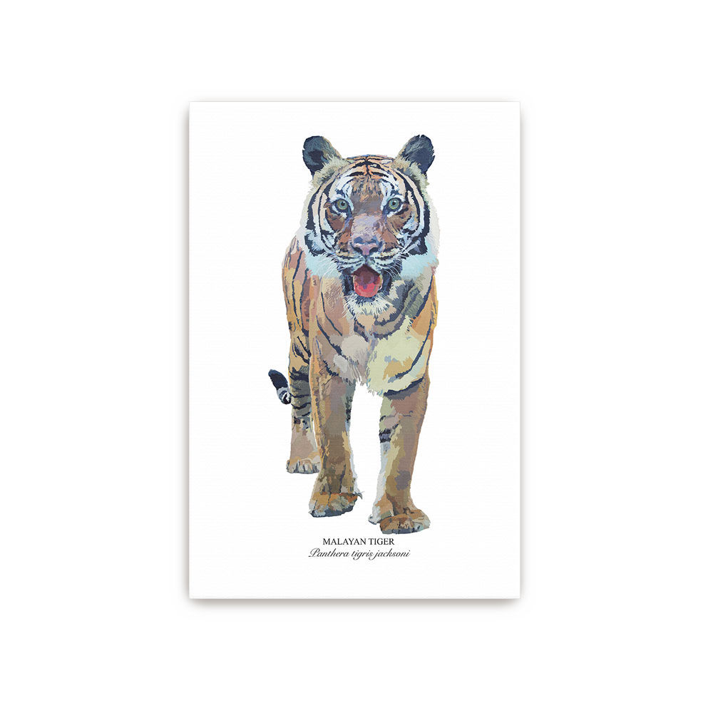 Olan Canvas - Unframed
