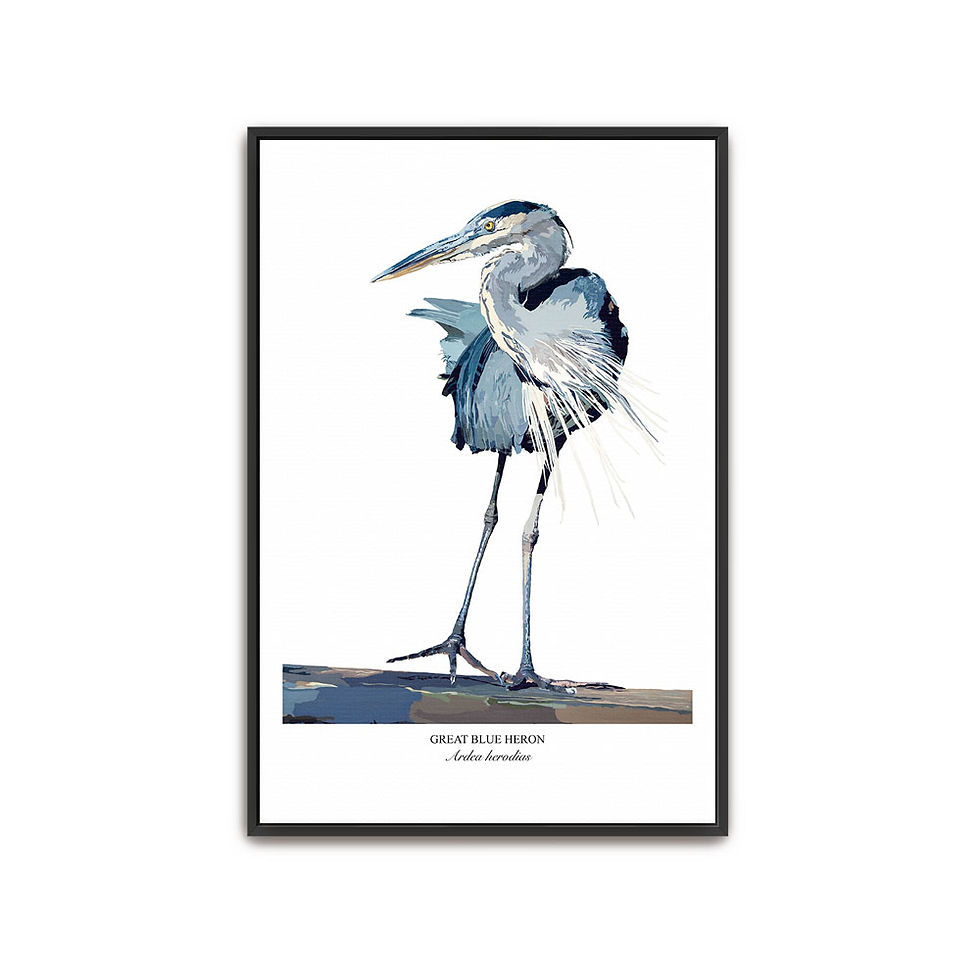 Thumbnail: Heron No. 9 Canvas - Framed