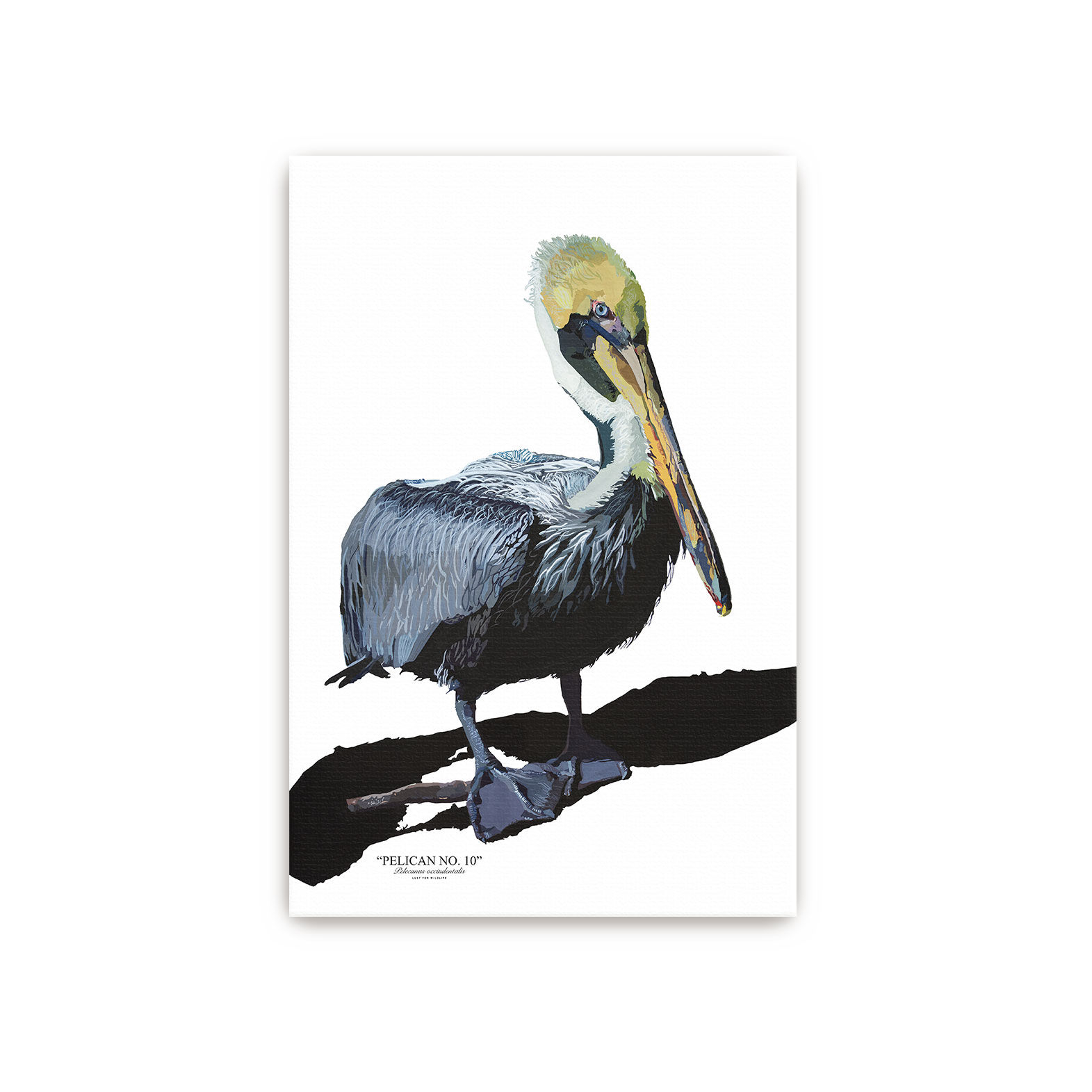 Pelican No. 10 Canvas - Unframed