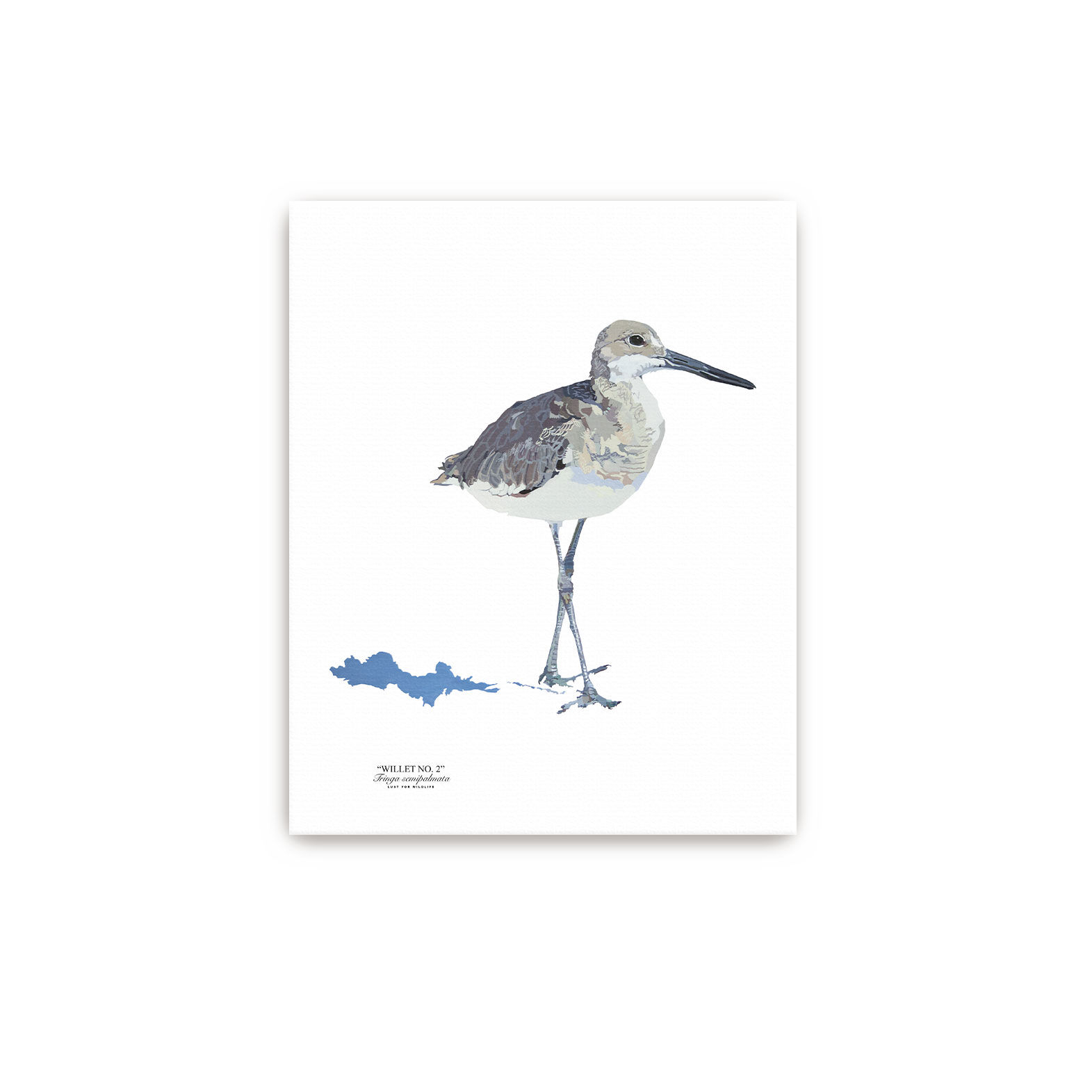 Willet No. 2 Canvas - Unframed