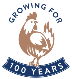 100 Years Logo - full color knockout.png