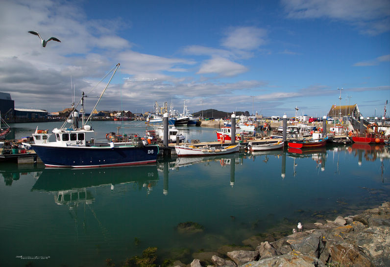 Howth A28U9504.jpg