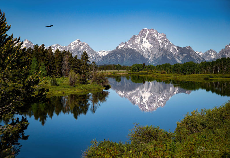Oxbow Bend 
Teton National Park Reflections
