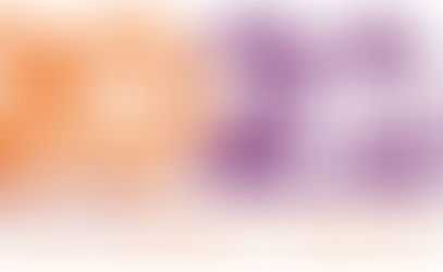 WC11 - Maastricht 2021