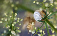 24-SabrinaSchulz-Makro-Schnecke_edited_edited.jpg