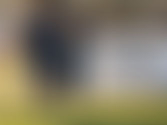 Parents: A Player’s Perspective