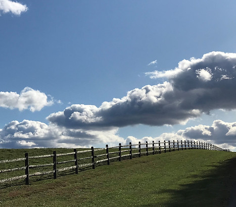 florencefence.jpg