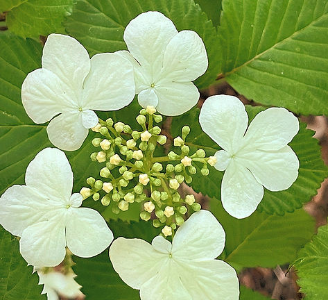 thumbnail_IMG_7277_edited.jpg