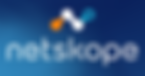 Netskope Logo