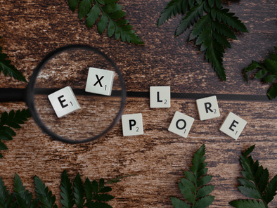 Diagnoza efektywności w organizacjach - koncepcje badawcze