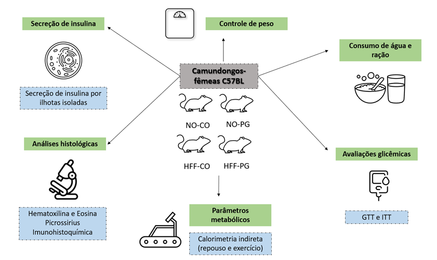 NOSSO MAIS FRESCO MESTRE!