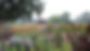 pensthorpe-02.jpg