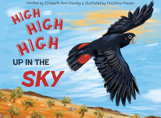 Front Cover High High in the Sky.jpg