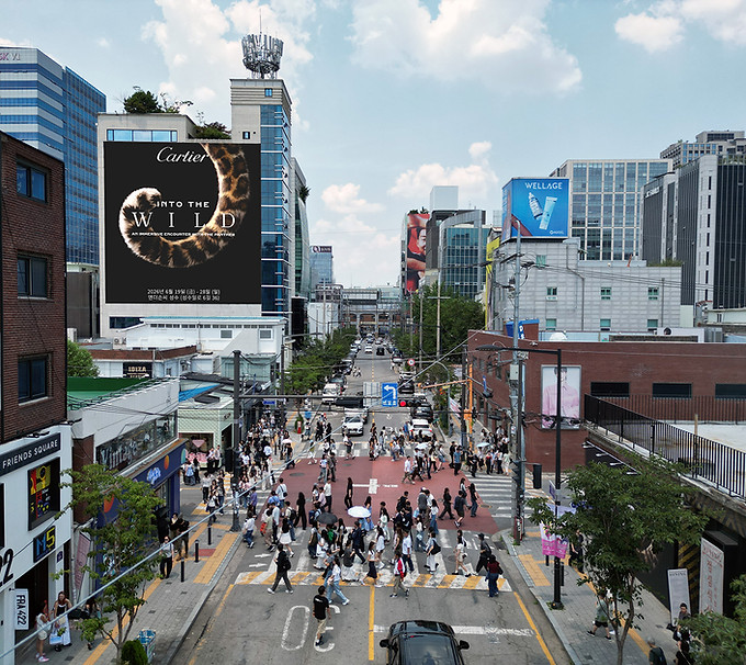 DJI_0210.jpg