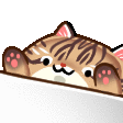 bongo.gif