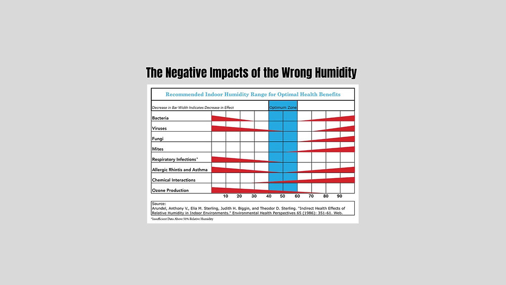 High Humidity Level Why Proper Humidity Levels Matter for Your Health, Home, and Pets
