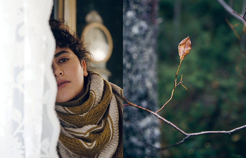 Thumbnail: 52 Weeks of Shawls/ Laine Magazine