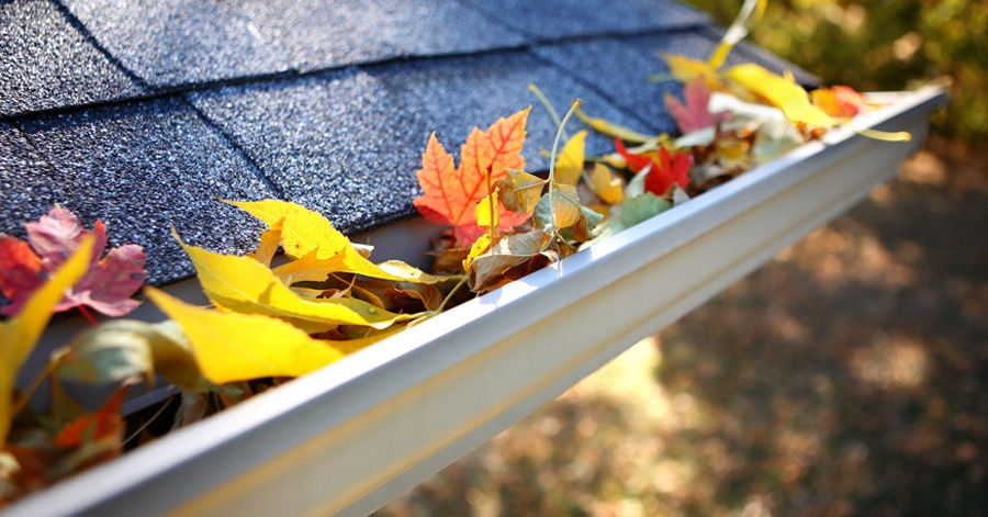 gutter-cleaning.jpg