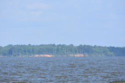 Pine Island