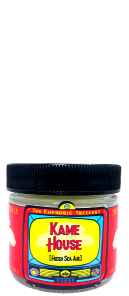 Thumbnail: Kame House