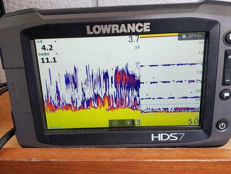 3月15日拾い釣り🎣