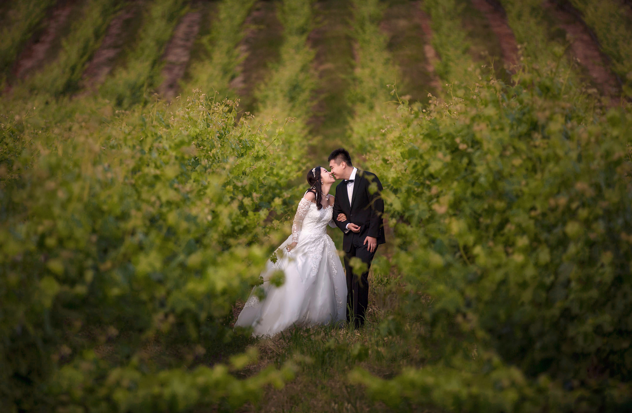 SUMMER AND HANYANG'S WEDDING
