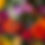 Thumbnail: Late Summer/Fall Subscription - Pick up - Twice a month
