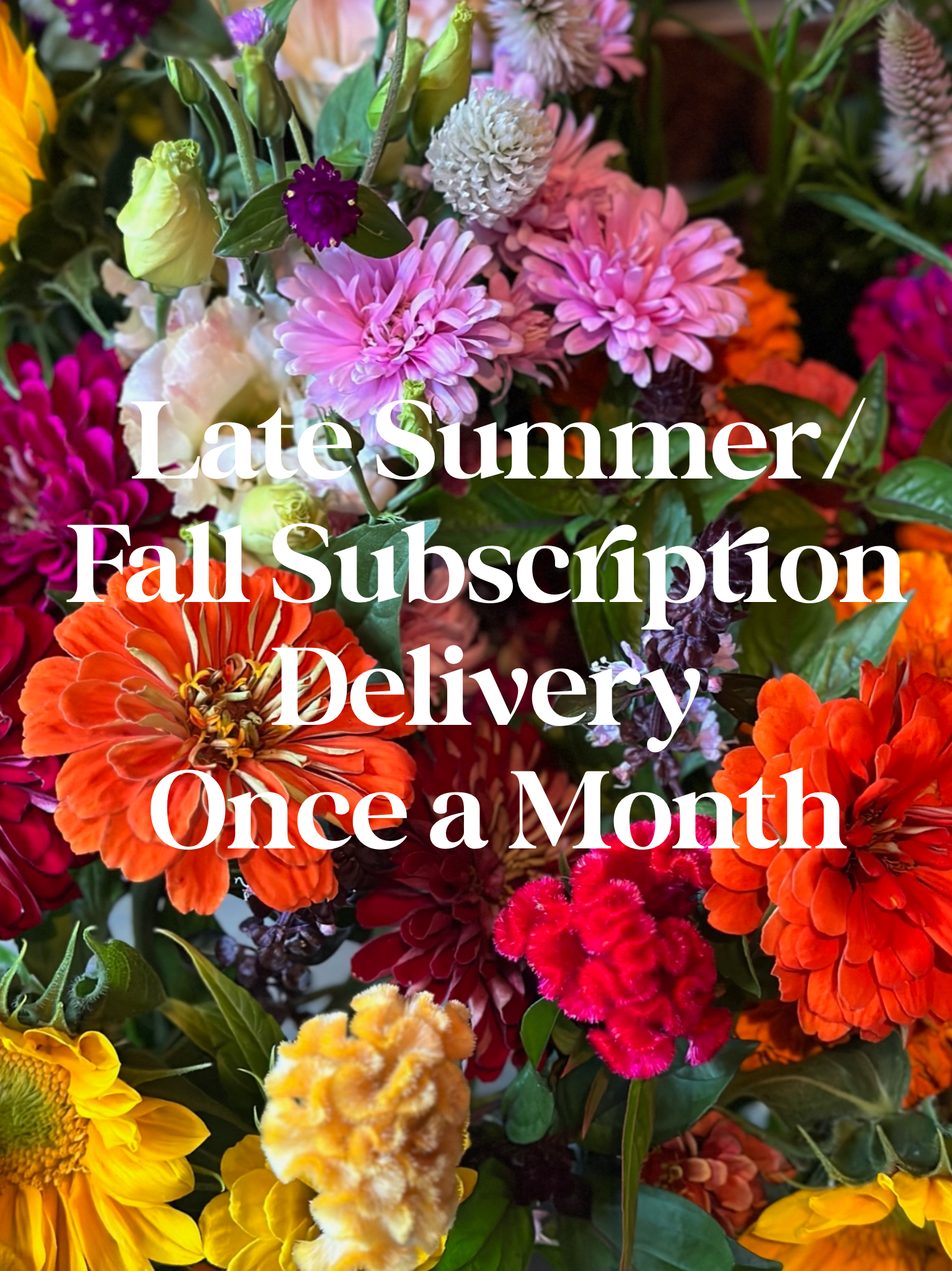 Late Summer/Fall Subscription - Delivery - Once a Month