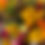 Thumbnail: Late Summer/Fall Subscription - Pick up - Twice a month