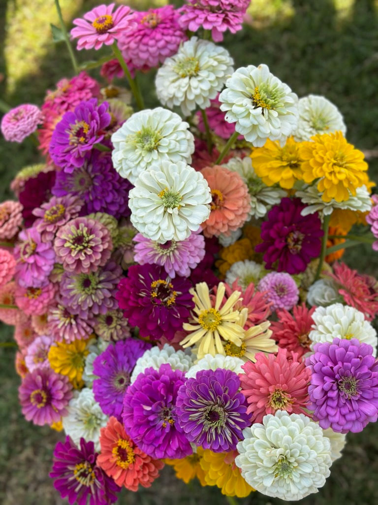 Thumbnail: Summer Subscription - Pick up - Twice a Month