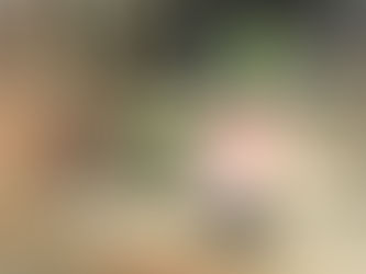 暖炉には・・・