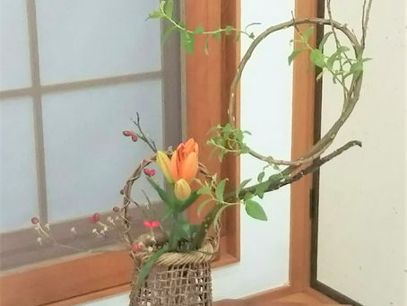 お花いろいろ