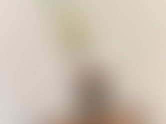 お花いろいろ