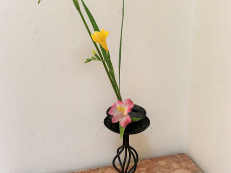 お花いろいろ
