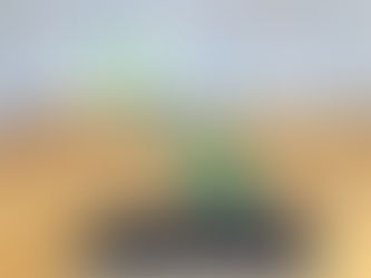 お花によって・・・